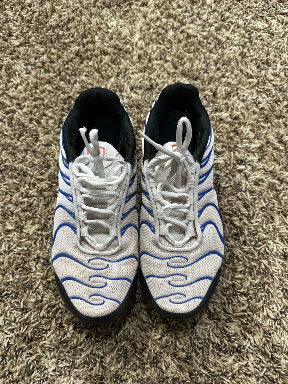 Nike Air Max Plus TN sneakers